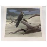 3 Prints by wildlife artist Richard Sloan signed