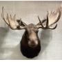 ESTATE AUCTION*COLLECTIBLES*ANTIQUES*FURNITURE 10/18