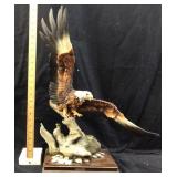 ITALIAN ARTIST AURO BELCARI DETAILED BALD EAGLE