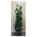 Artificial Heartleaf Philodendron In Brass Planter