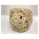 Large  Natural Sea Wool Sponge