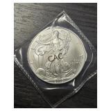 2005 U.S. 1oz American Silver Eagle