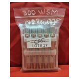 15rds Federal 300WSM Ammo
