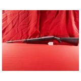 Ruger 10/22 Rifle 22LR SN#822-94962