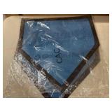 Box Lot of Sports Balls, Gloves and Backpack