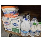 Lot of NEW Clorox Bleach and Pool Chemicals