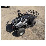 Tao Tao ATA110B UTV