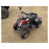 Razor Electric 4-Wheeler