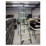 8' Werner Ladder