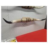 Set of Cattle Horns