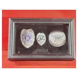 Lot of 3 Framed Obselete Inspector Badges