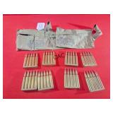 Lot of 8-5rd .30cal Clips and Ammo