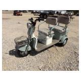 IRG40 Mini Golf Cart Trike