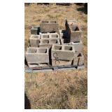 Pallet of Cement Bricks