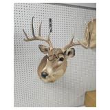 Whitetail Deer Wall Mount