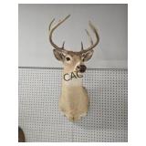 Whitetail Deer Wall Mount