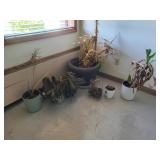 Flower pots