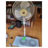 Floor and window fan
