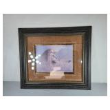 Ruane Marnemc Lion Print - Great Frame 30" x 26"