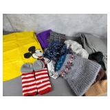Scarves, hats, mittens, and Mickey Poncho