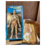 The Visible Man Model By Revell in Box