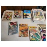 Prince Valiant Collection of books/comic books