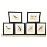 (6) Framed Bird Print, 9" x 11" Frames