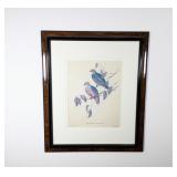 Framed Lithograph, Ewing