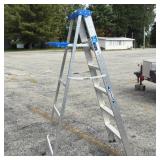 Werner 6 ft. Aluminum Step Ladder