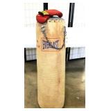 Everlast Punching Bag and Gloves