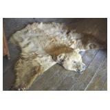 Old Brown Bear Rug - Rough Condition
