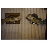 2 Mounted Bass 10 lb & 9.8 lb