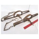 2 Oneida Victor #4 Traps - Double Spring