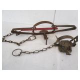 1 Oneida Victor #4 Trap & 1- Double Spring