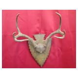 6 pt Arrowhead Plaque Mount