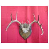 10 Pt Plaque Mount