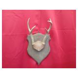 5 Pt Plaque Mount