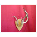 7 pt Arrowhead Plaque Mount