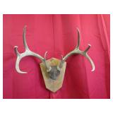 8 Pt Plaque Mount