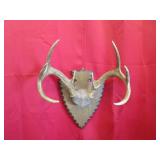9 Pt Plaque Mount