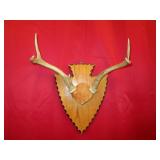 5 Pt Arrowhead Plaque Mount