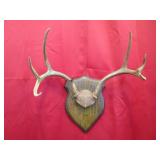 7 pt Plaque Mount