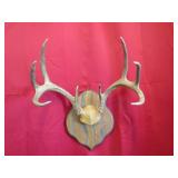 8 Pt Plaque Mount