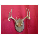 8 Pt Plaque Mount