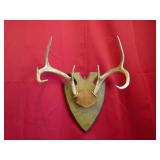 7 Pt Arrowhead Plaque Mount