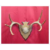 8 pt Arrowhead Plaque Mount