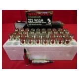 39 rds - 223 WSSM 55 gr - Winchester Ballistic
