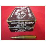 40 rds - .223 REM 55 Gr FMJ