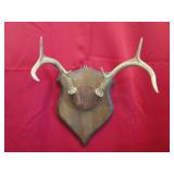 6 Pt Plaque Mount