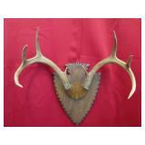 8 pt Arrowhead Plaque Mount
